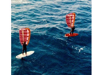 PARAWING stage 2 jours