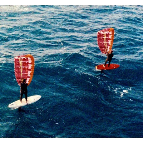 PARAWING stage 2 jours